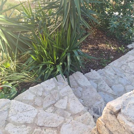 Apartmán Captain Kor Korčula Exteriér fotografie